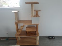 Arbre à chats